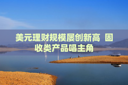 美元理财规模屡创新高  固收类产品唱主角