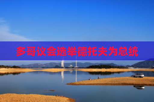 多哥议会选举德托夫为总统