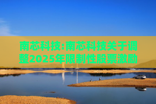 南芯科技:南芯科技关于调整2025年限制性股票激励计划相关事项的公告