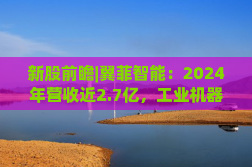新股前瞻|翼菲智能：2024年营收近2.7亿，工业机器人热潮下成长力可期？