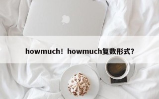 howmuch！howmuch复数形式？