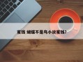 蜜钱 蝴蝶不是鸟小说蜜钱？