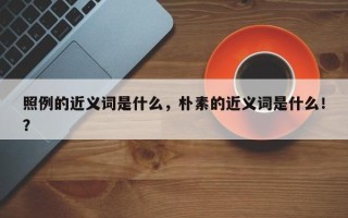 照例的近义词是什么，朴素的近义词是什么！？