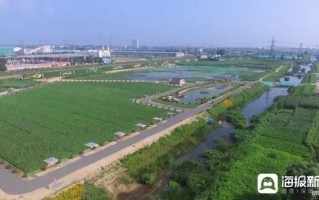 河北秦皇岛一政府部门被曝长期拖欠工程款，当地回应：等化债资金