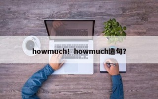 howmuch！howmuch造句？