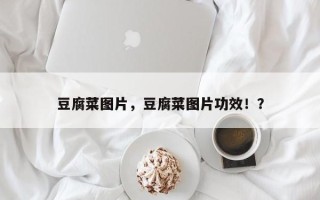 豆腐菜图片，豆腐菜图片功效！？