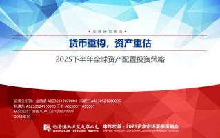 【申万宏源策略】溢价收敛，龙头为先——2025年中期美股策略观点