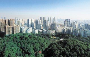 如何了解楼盘具体情形？了解后对购房选择有何影响？