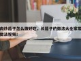 肉炒茄子怎么做好吃，长茄子的做法大全家常做法视频！