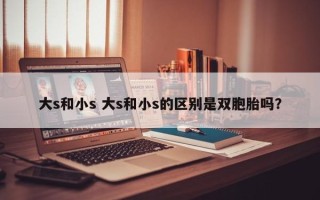 大s和小s 大s和小s的区别是双胞胎吗？