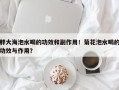 胖大海泡水喝的功效和副作用！菊花泡水喝的功效与作用？