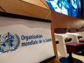 世卫组织通过修订后两年期预算 成员国分摊费用将增加20%