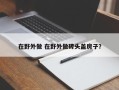 在野外做 在野外做砖头盖房子？