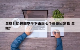 金糕！奶包四岁半下山后七个哥哥团宠我 金糕？