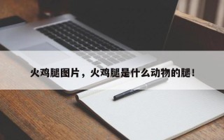 火鸡腿图片，火鸡腿是什么动物的腿！