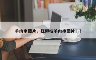 羊肉串图片，红柳枝羊肉串图片！？