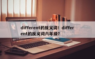 different的反义词！different的反义词六年级？