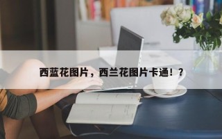 西蓝花图片，西兰花图片卡通！？