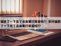猫抓了一下出了点血要打疫苗吗?！农村猫抓了一下出了点血要打疫苗吗?？