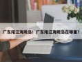 广东阳江海陵岛！广东阳江海陵岛在哪里？