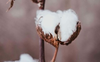 如何制定股指期权有效策略？这种策略的市场适应性如何？