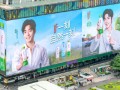 爱喝椰子水的中国人，“养肥”一个泰国富二代