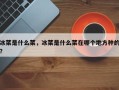 冰菜是什么菜，冰菜是什么菜在哪个地方种的？