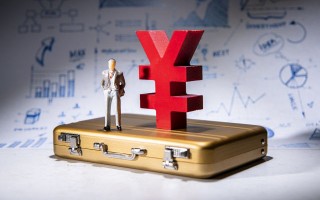 如何理解泰山保险车险的相关信息？这些信息对车主有什么影响？