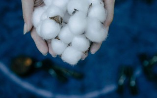 dmf在期货中的作用是什么？这种作用对相关产业有何影响？