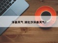 洋县天气 湖北沙洋县天气？