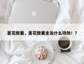 莲花胶囊，莲花胶囊主治什么功效！？