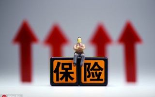 如何合理处理保险相关后续操作？这些操作的查询方式有哪些？