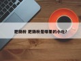 肥肠粉 肥肠粉是哪里的小吃？