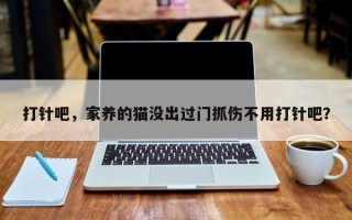 打针吧，家养的猫没出过门抓伤不用打针吧？