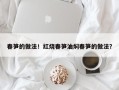 春笋的做法！红烧春笋油焖春笋的做法？