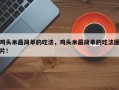 鸡头米最简单的吃法，鸡头米最简单的吃法图片！