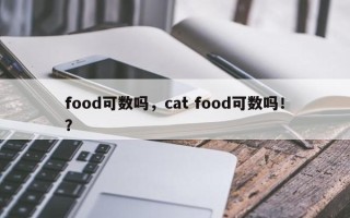 food可数吗，cat food可数吗！？