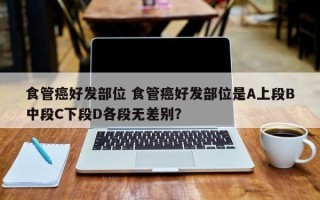 食管癌好发部位 食管癌好发部位是A上段B中段C下段D各段无差别？