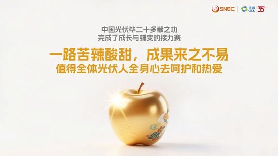 协鑫集团朱共山：以牺牲合理利润为代价的极致降本、极限竞争，无异于饮鸩止渴