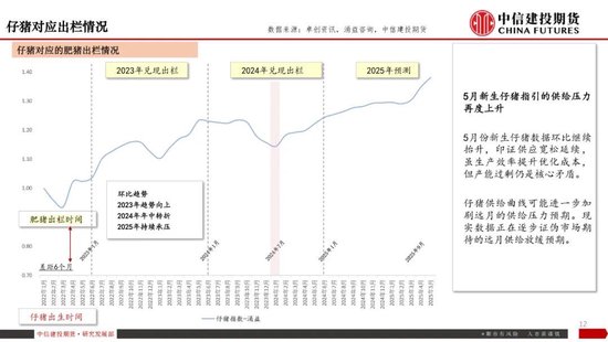 【生猪旬报】磨底延续，现货价格陷入拉锯战